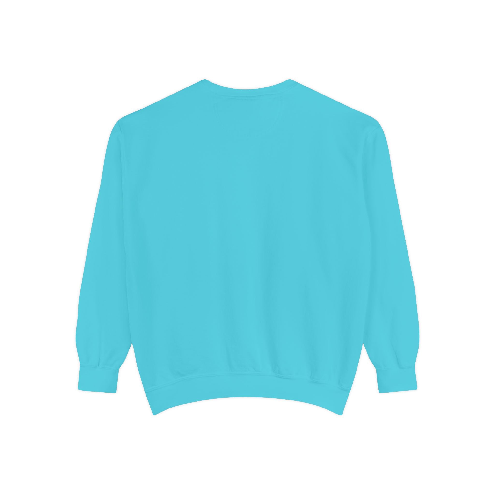 Light blue sweatshirt back view image on a white background
