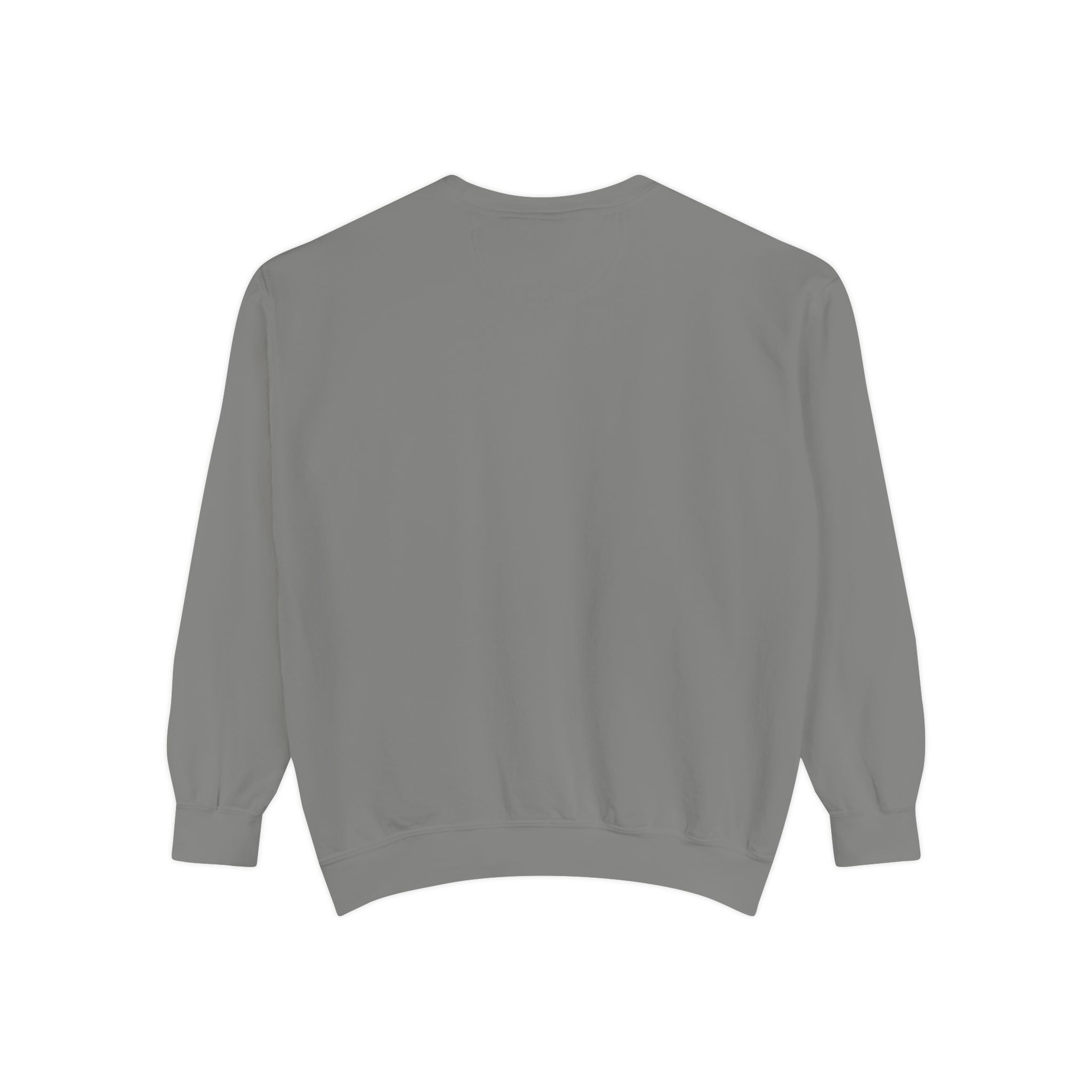 Gray sweatshirt back view image on a white background