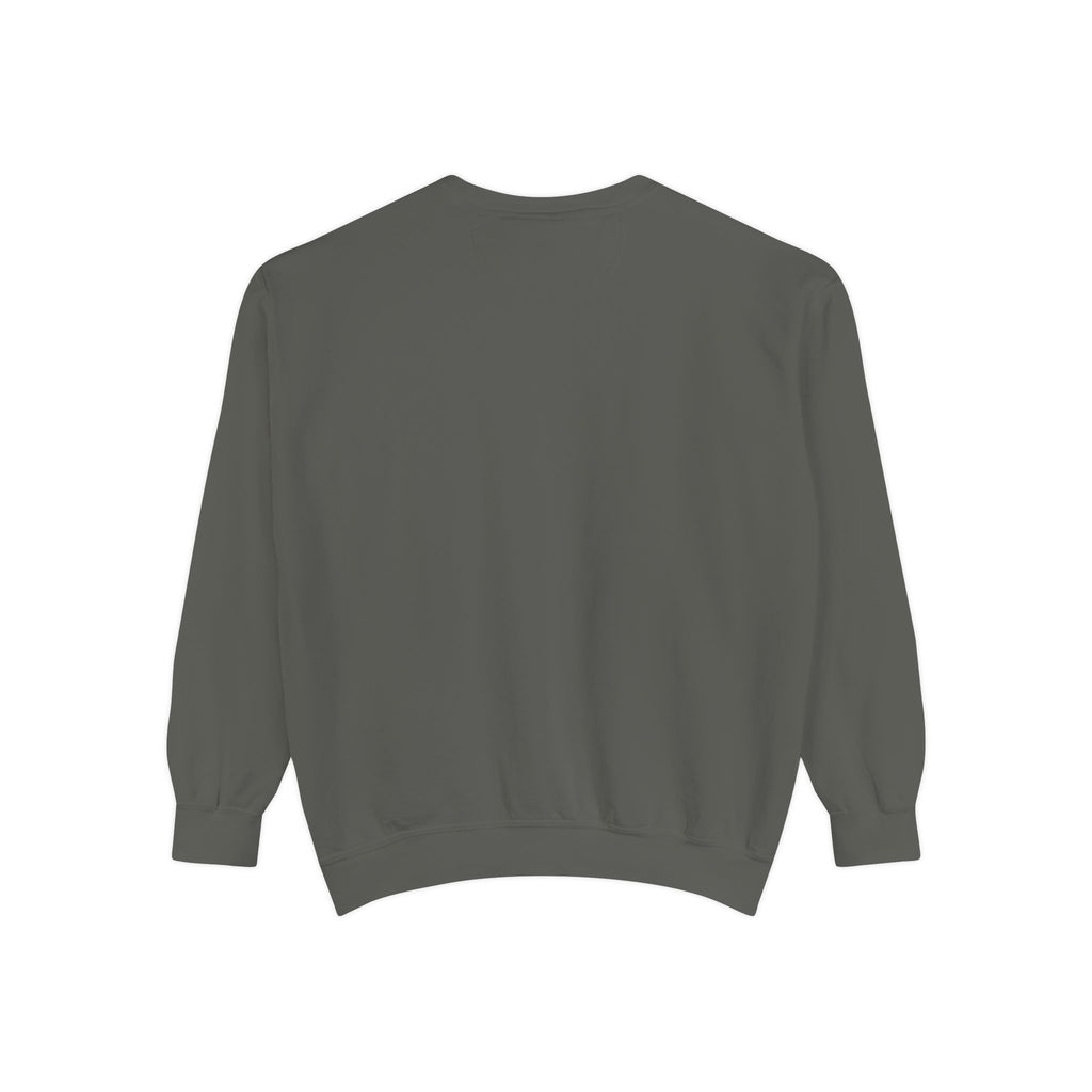 Back view of a Gray sweatshirt on a white background