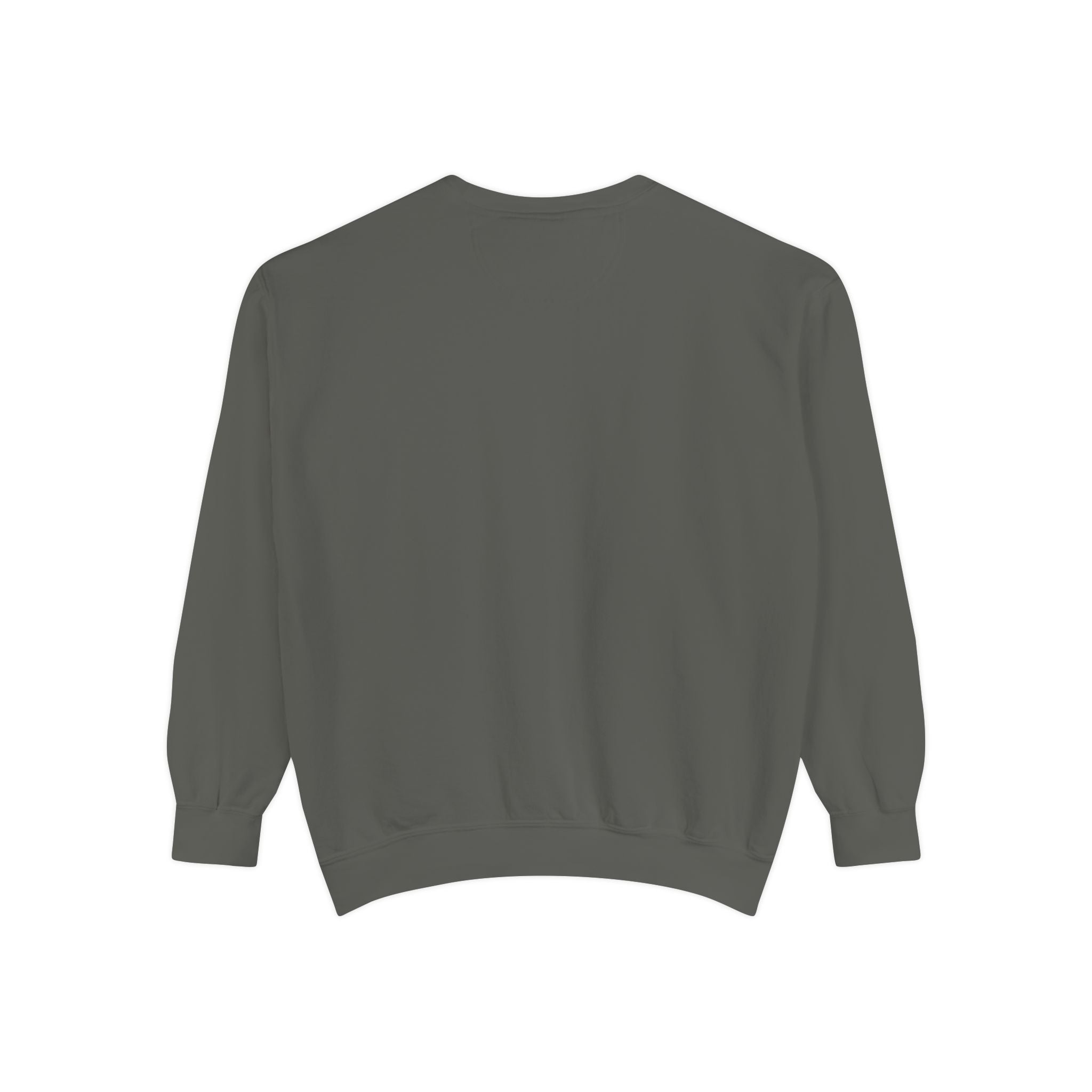 Back view of a Gray sweatshirt on a white background