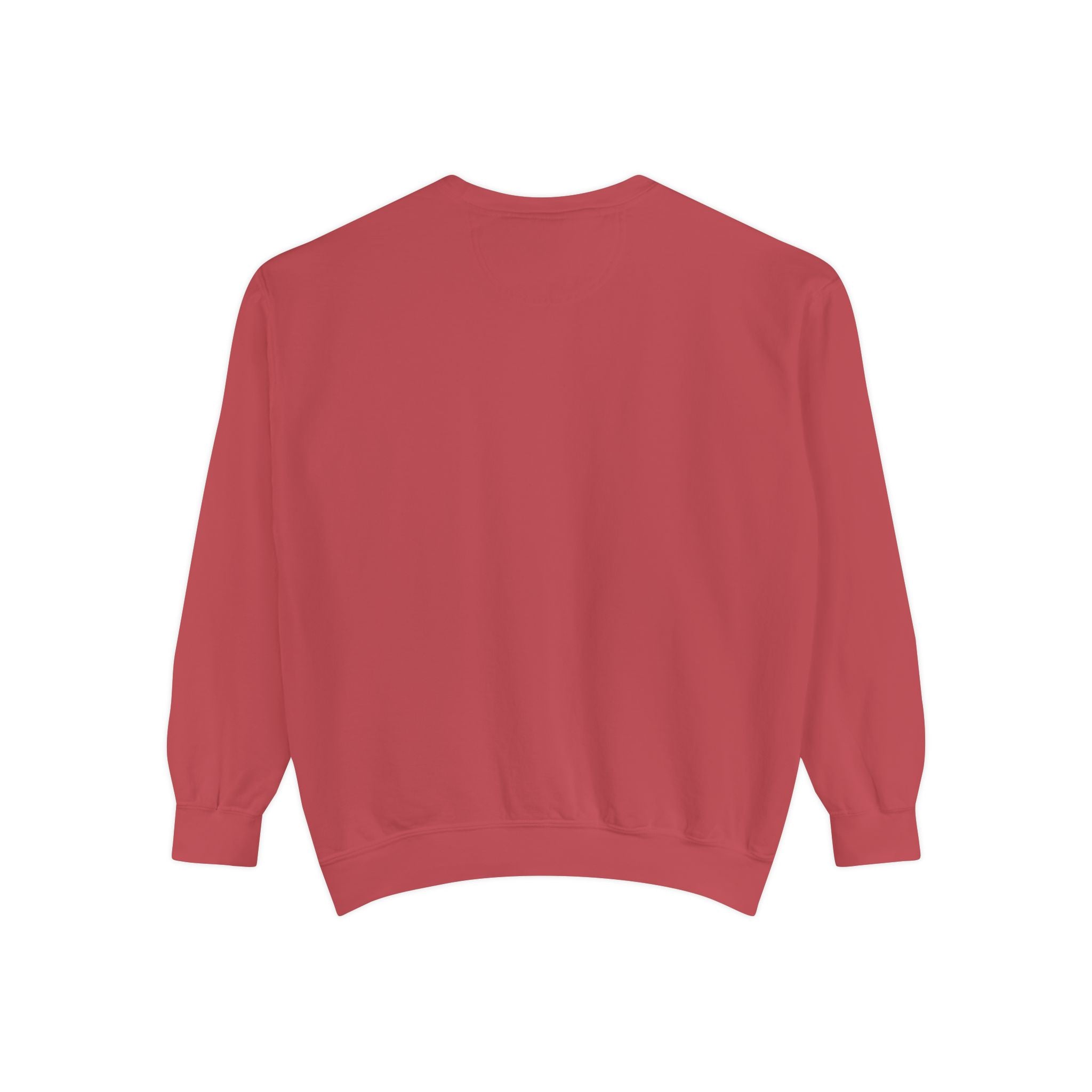 Red sweatshirt back view image on a white background