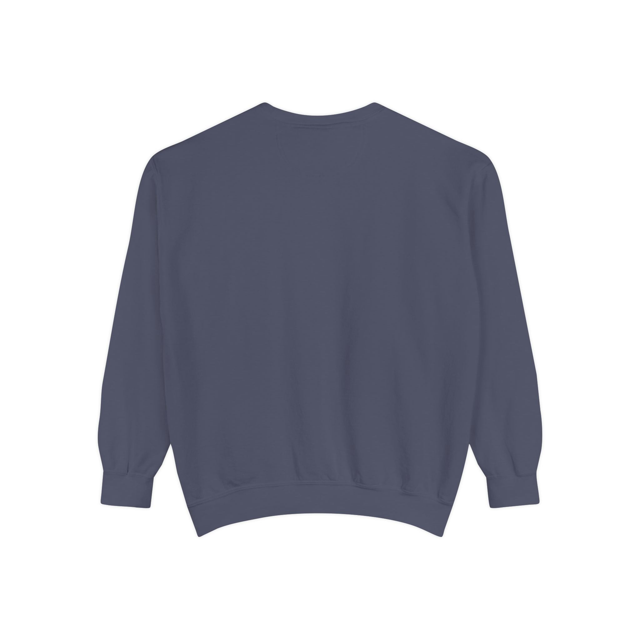 Back view of a denim blue sweatshirt on a white background