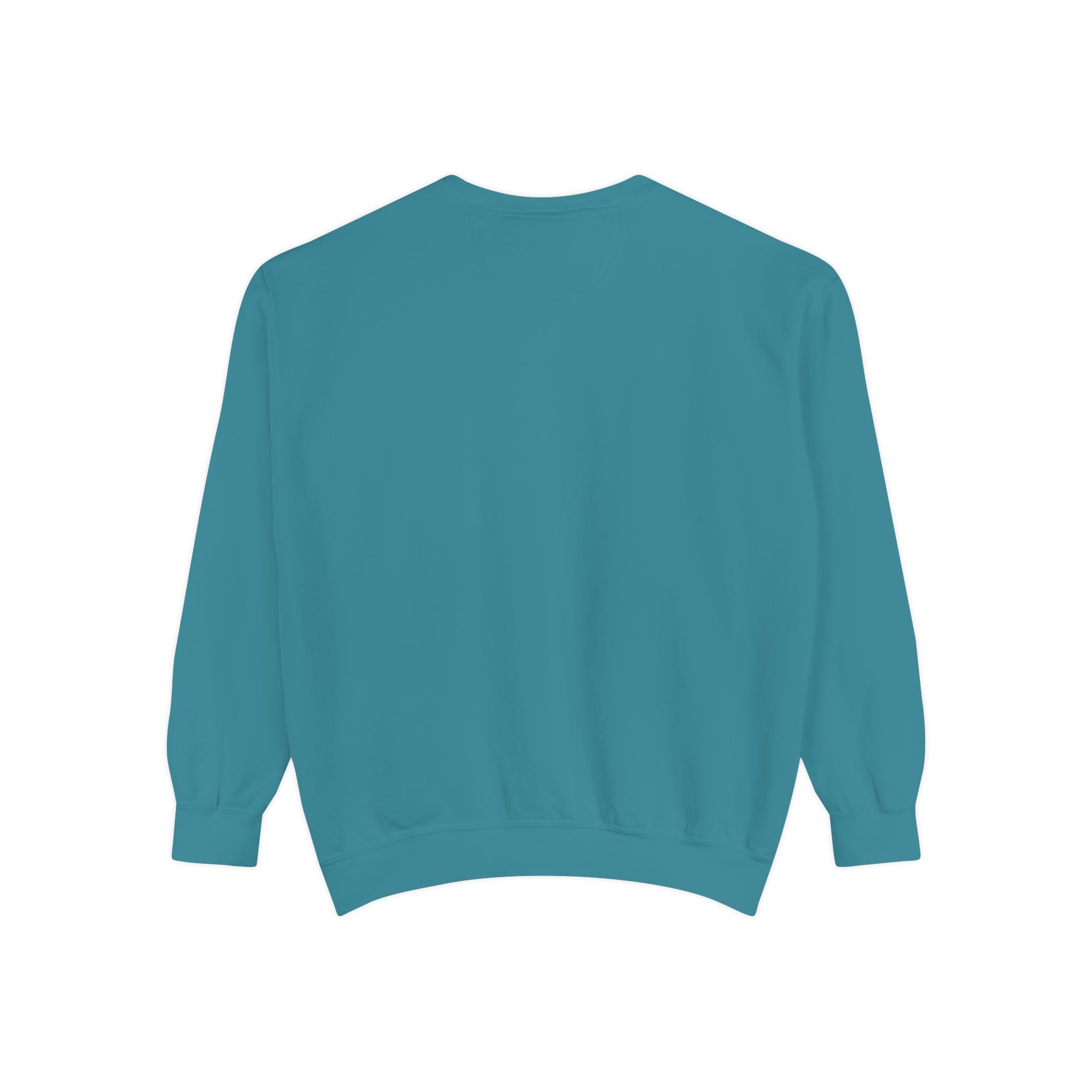 Back viewe of a teal sweatshirt on a white background