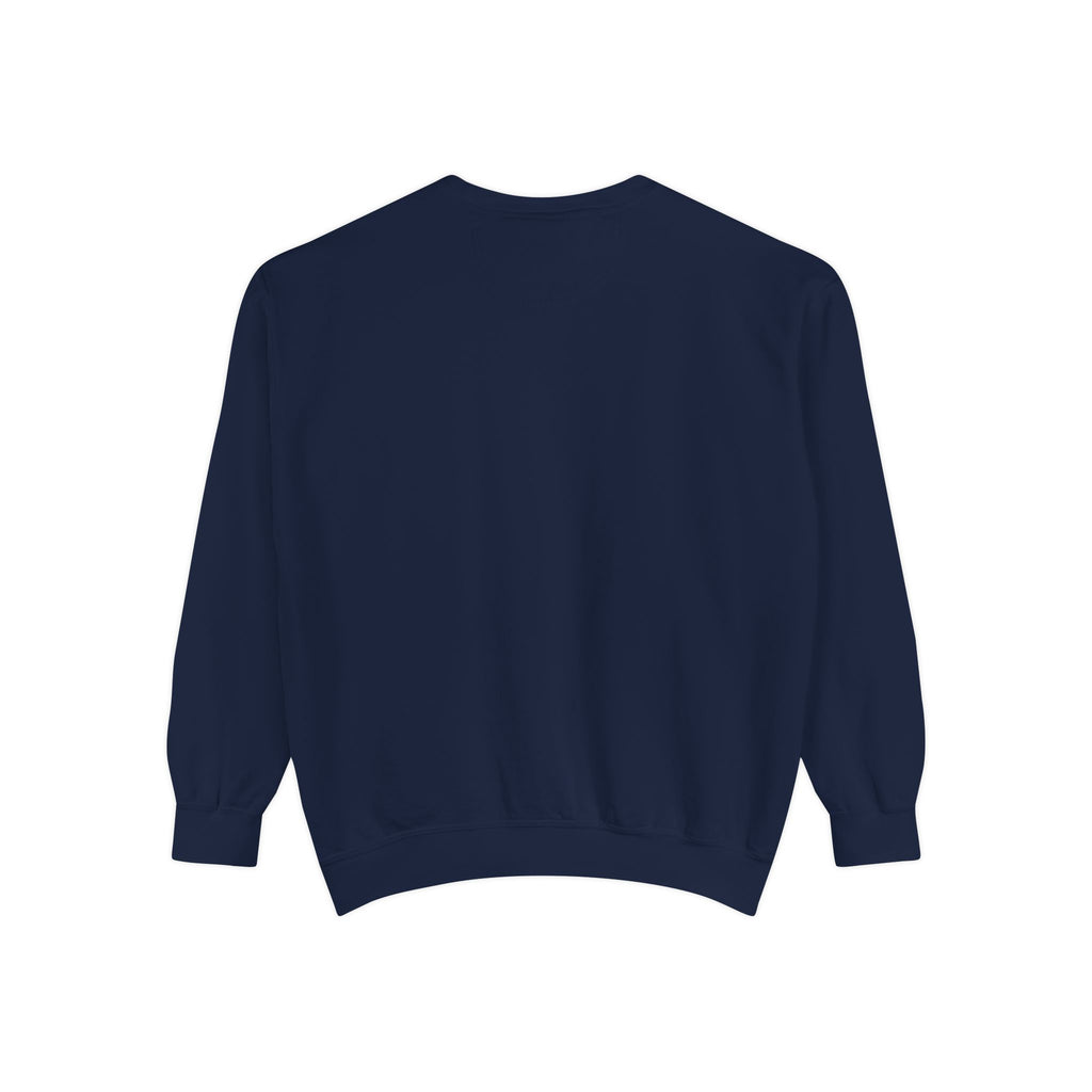 Back view navy blue sweatshirt on a white background.